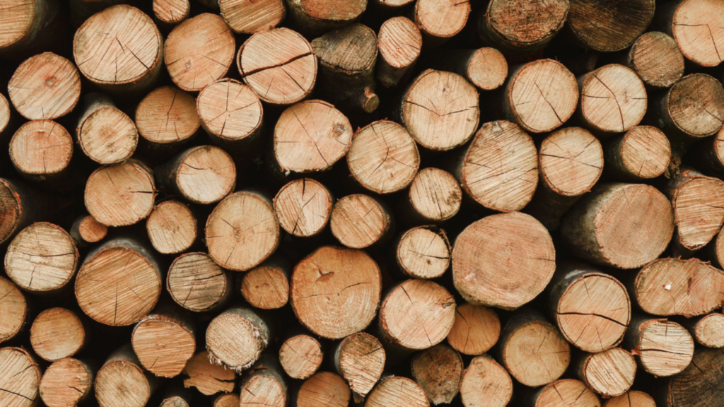 OIXIO timber puidulahendus-puidutööstus