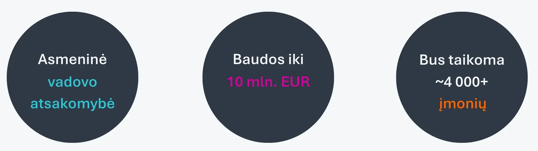 oixio-nis2-baudos-infografikas