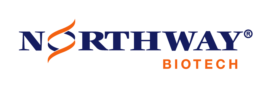 Northway logo