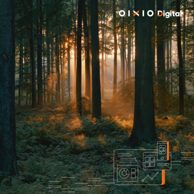 OIXIO Timber Partner Program