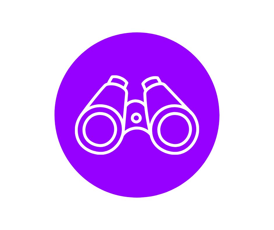 saugumo stebėsena_cyber